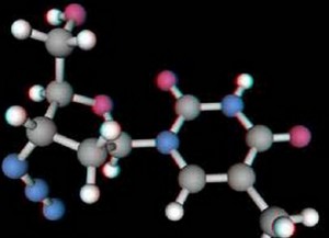 bioactive peptide