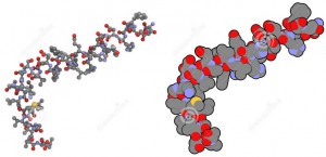 Books in Peptide