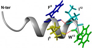 Books in Peptide