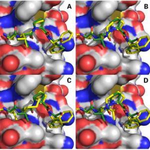 peptides