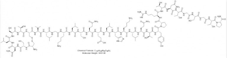 Drug development of intranasally delivered peptides