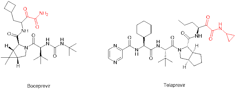 Peptidomimetic drugs boceprevir and telaprevir containing alpha-keto amide structures (in red)