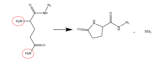 Mechanism of generation of pyroglutamic acid-related impurities