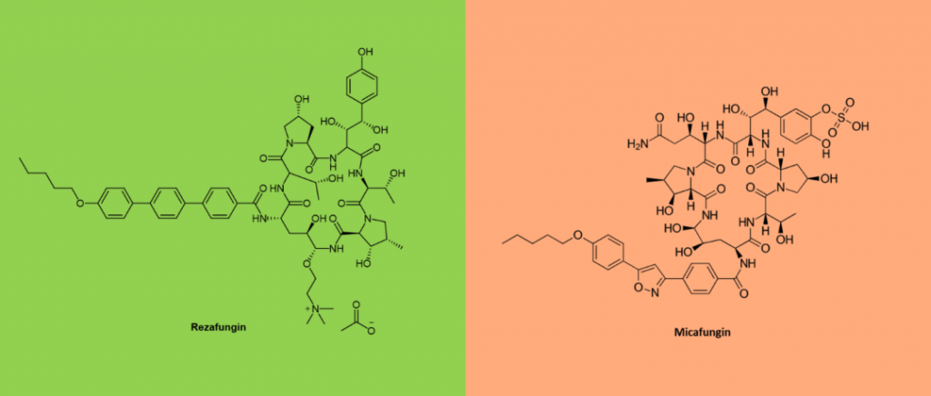 Comparison of Chemical Structures of Rezafungin and Micafungin