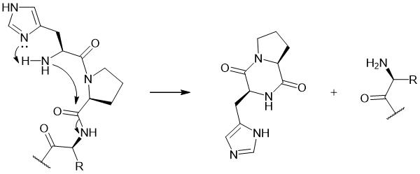 Possible mechanism of DKP formation in peptides with N-terminal His-Pro