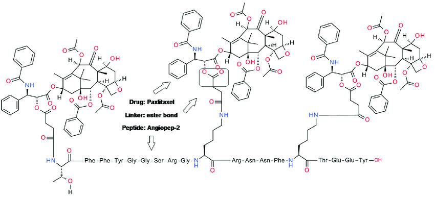 Structure of ANG1005 (Angiopep-2-Paclitaxel Conjugate).
