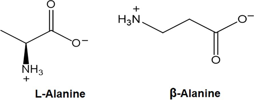 L-alanine and β-alanine chemical structures.