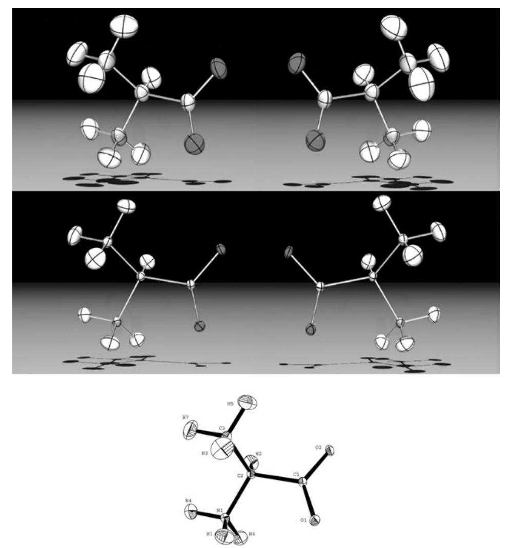 L- and D-alanine structures.