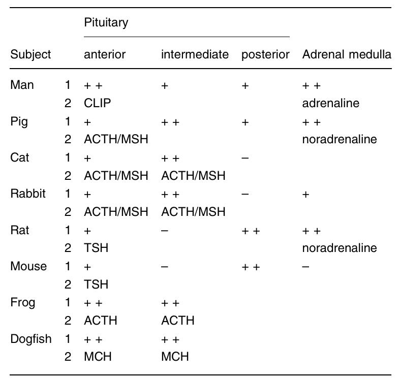 delta sleep-inducing peptide (DSIP)-LI representation and co-localization in pituitary and adrenals of various vertebrates.
