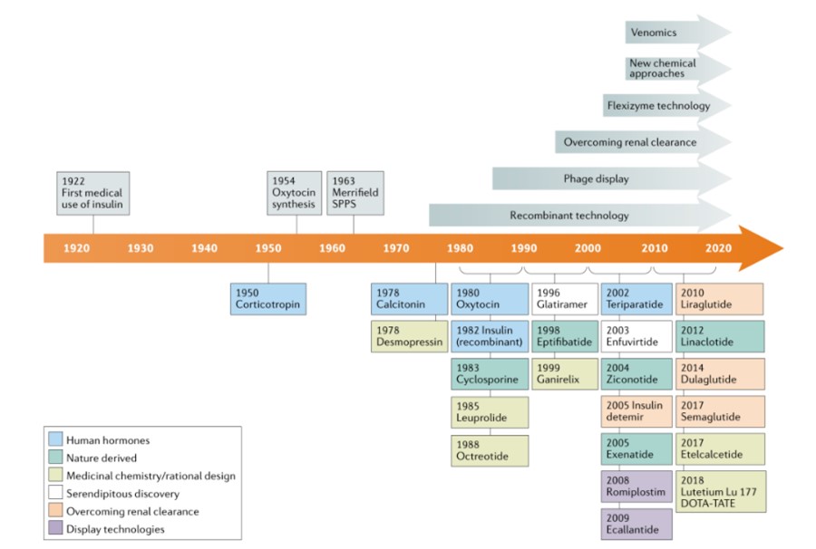 Historical timeline of the field of peptide therapy.