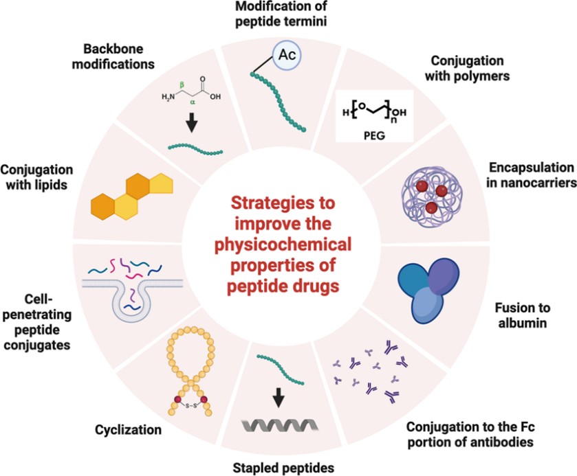 Methods for improving physicochemical properties of pharmaceutical peptides.