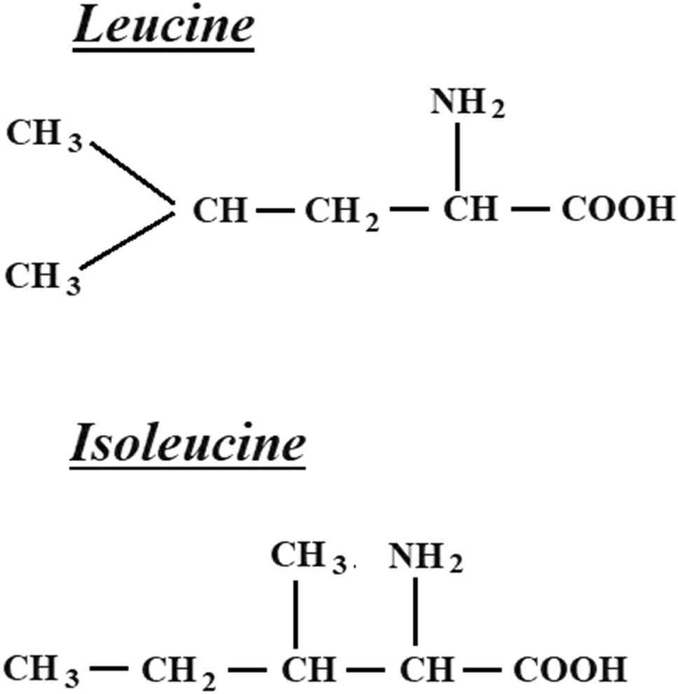 Structural formula of leucine and isoleucine(Ile).