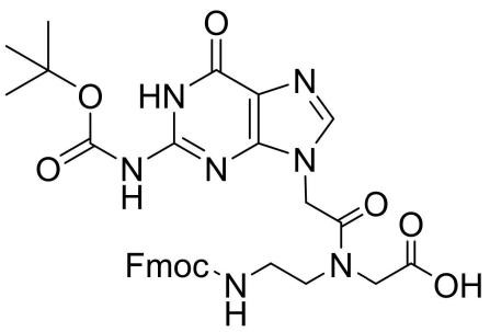 Fmoc-PNA-G(Boc)-OH