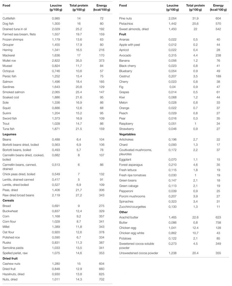 Content in leucine(Leu), protein and energy per 100 g of food (list 2).