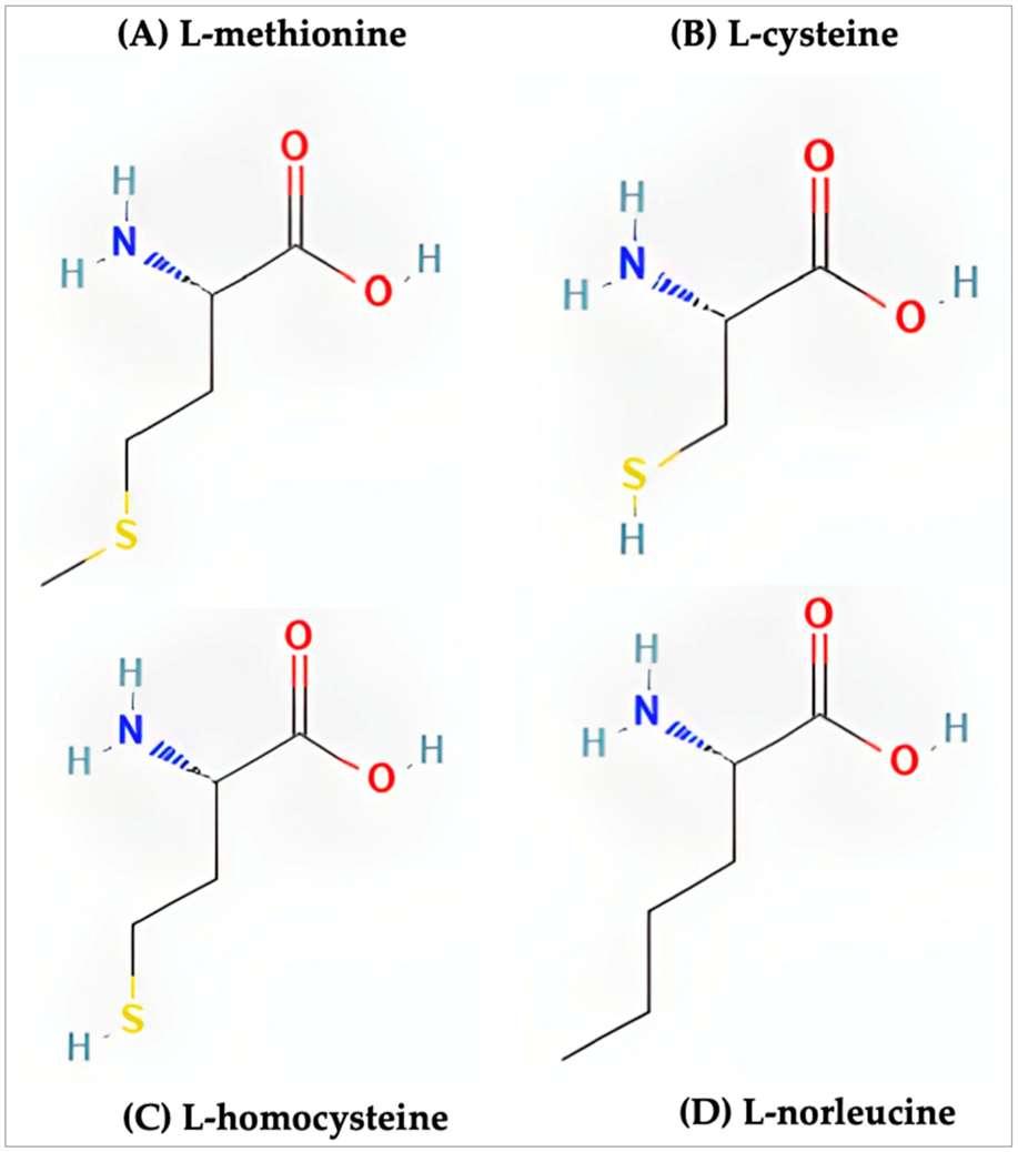 The structure of sulfur-containing amino acids.