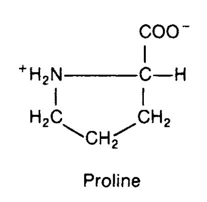 The structure of proline(Pro).