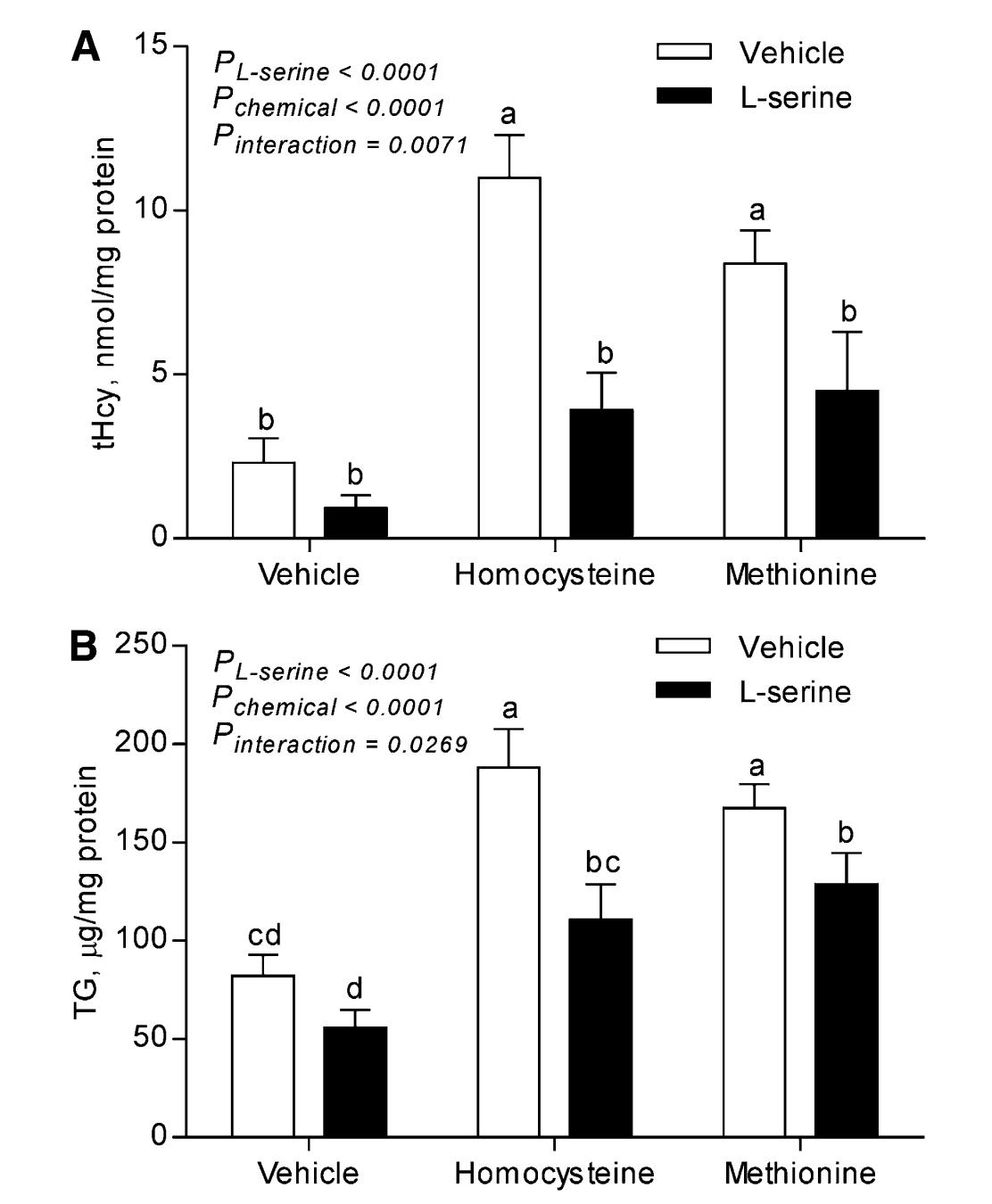 Intracellular tHcy and TG concentrations.