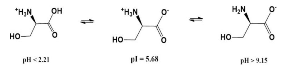 Effect pH on charge of L-Serine(Ser).