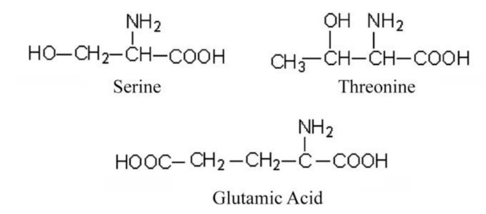 amino acids molecular structures.