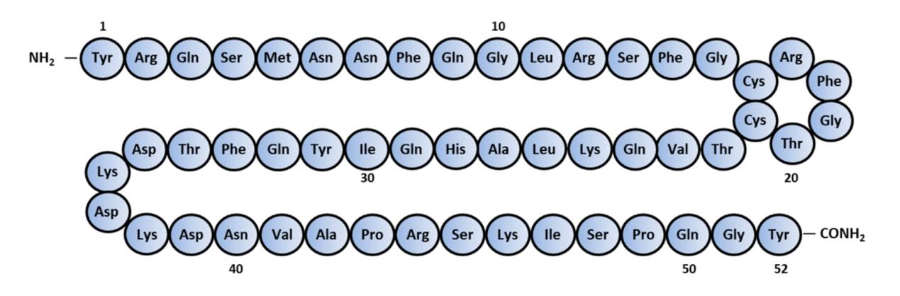 Human Adrenomedullin Amino-acid sequence.