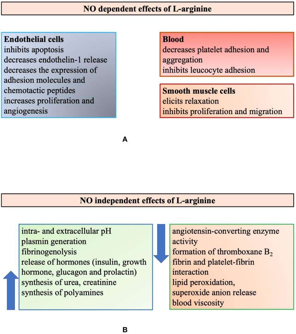 Multiple biological roles of L-arginine. 