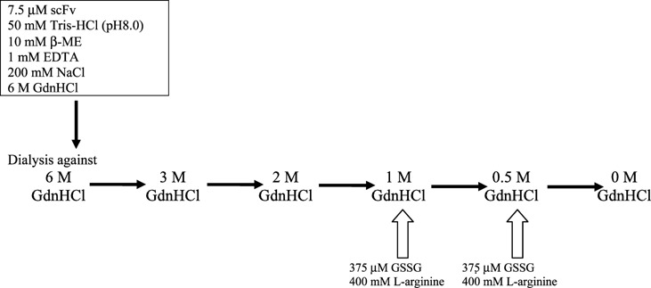 Effects of arginine on protein refolding.