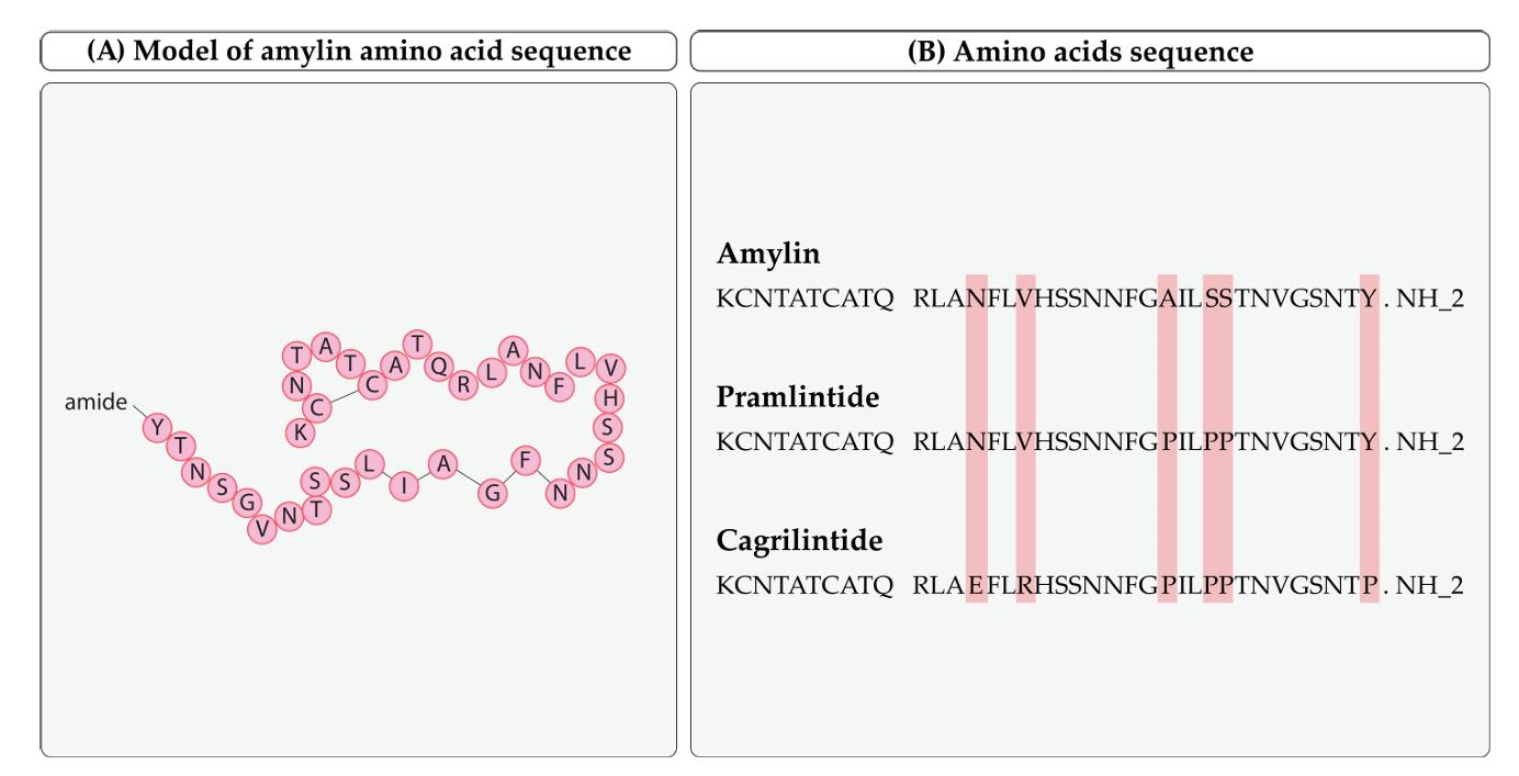 The amino acid sequences of amylin, pramlintide, and cagrilintide.