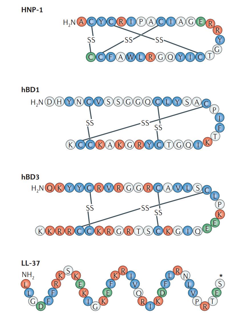 Diversity of human cationic antimicrobial peptides (CAMPs).