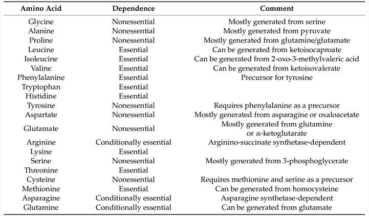The essential and nonessential amino acids in cancer cells.