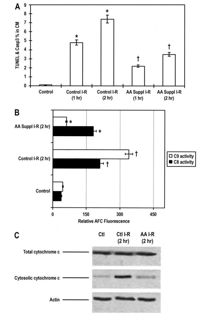 The effects of essential amino acid(EAAs) supplementation.