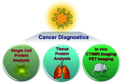 Fig.1 Peptide-modified metal clusters are used in cancer diagnosis.