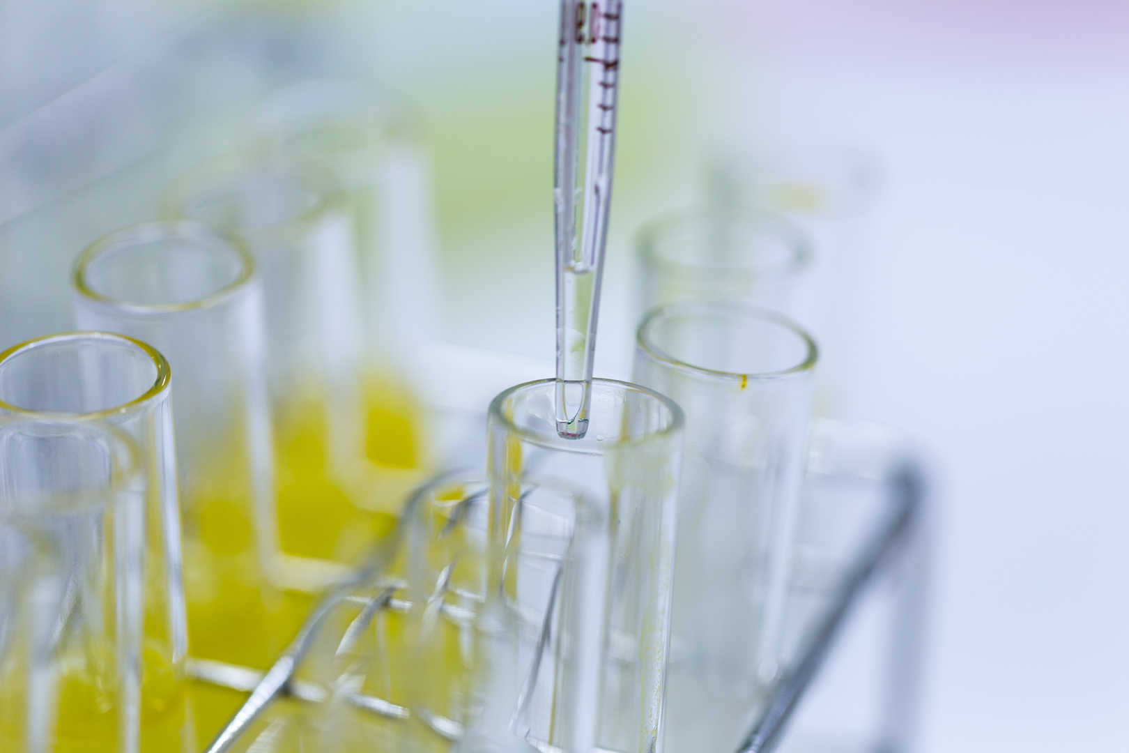 Amino Acids