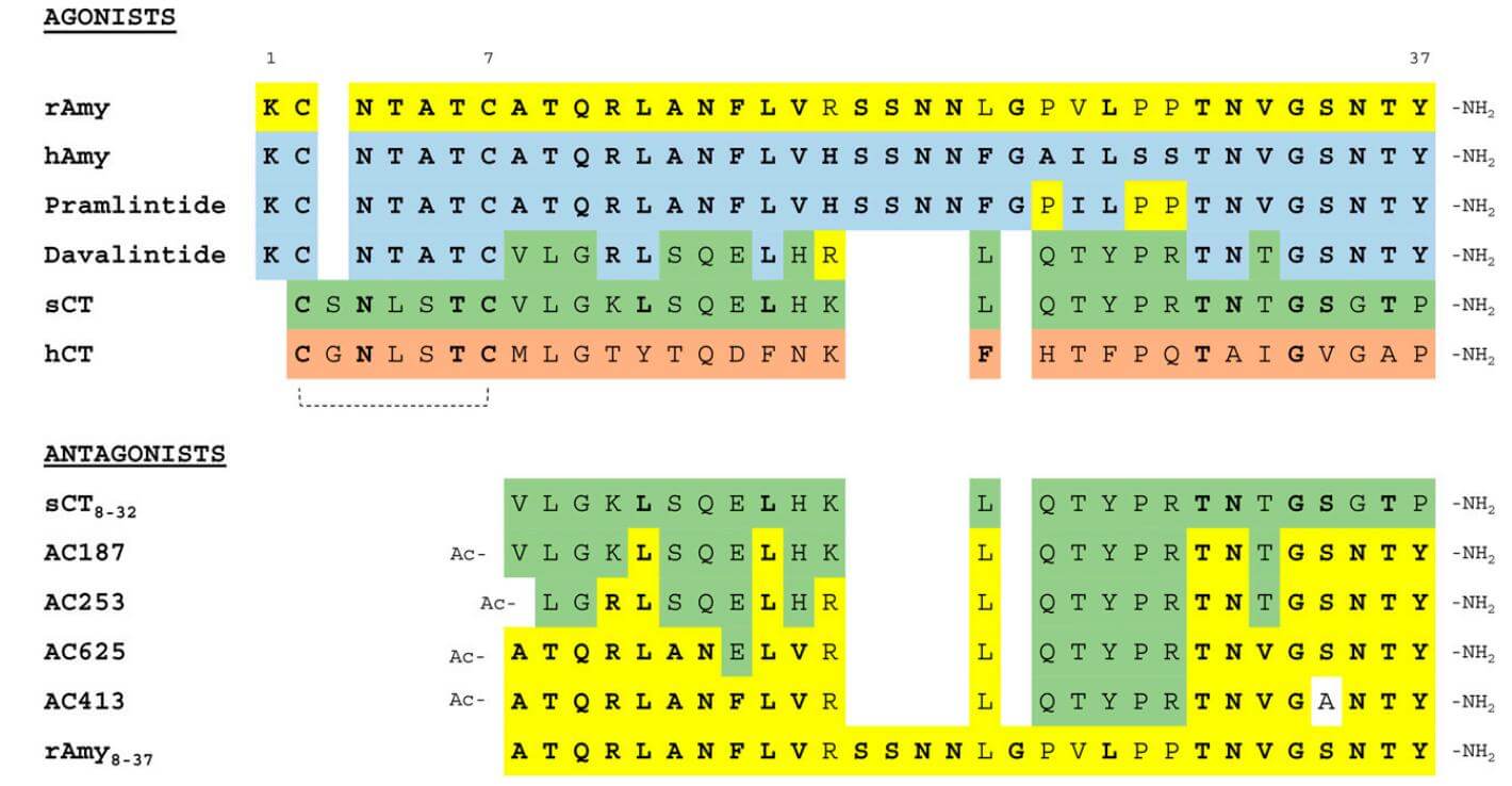 Amylin and related peptides amino acid sequences.