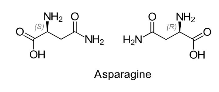 Asparagine chemical structures.