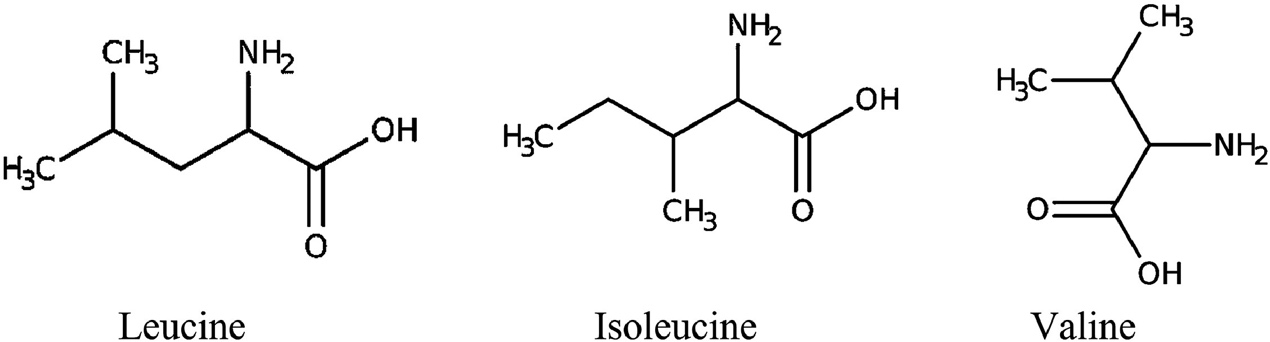 The structures of branched-chain amino acids (BCAAs).
