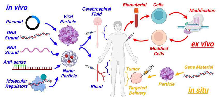 Different gene therapy approach schematic.