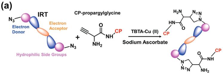 Fig.1 Representative application of peptide gold nanoparticles.