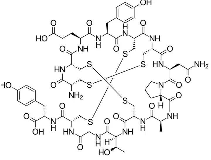 Fig.2 FDA-approved Knottin peptide: Linaclotide.
