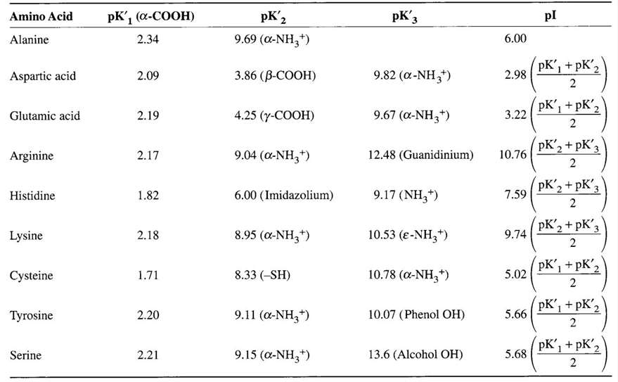 pKa and pI values of selected free amino acids at 25 ℃.