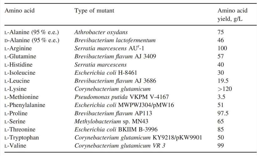 The amino acids produced by direct fermentation from carbohydrates.