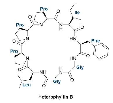 Fig.1 Chemical structure of cyclopeptide Heterophyllin B.