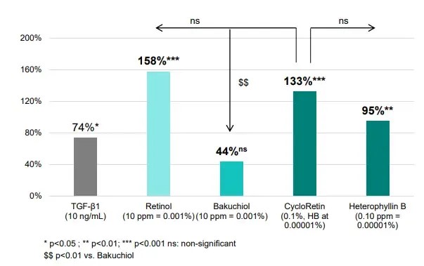 Fig.2 Data on anti-aging effects of Pseudostellaria heterophylla extract.