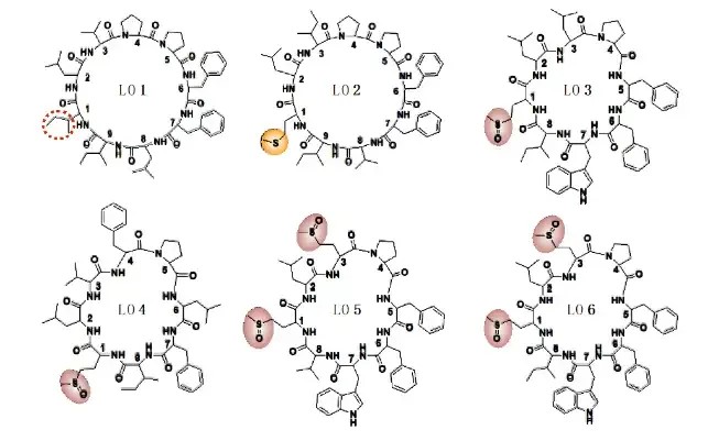 Fig.4 The Structure of several Linosorbs.