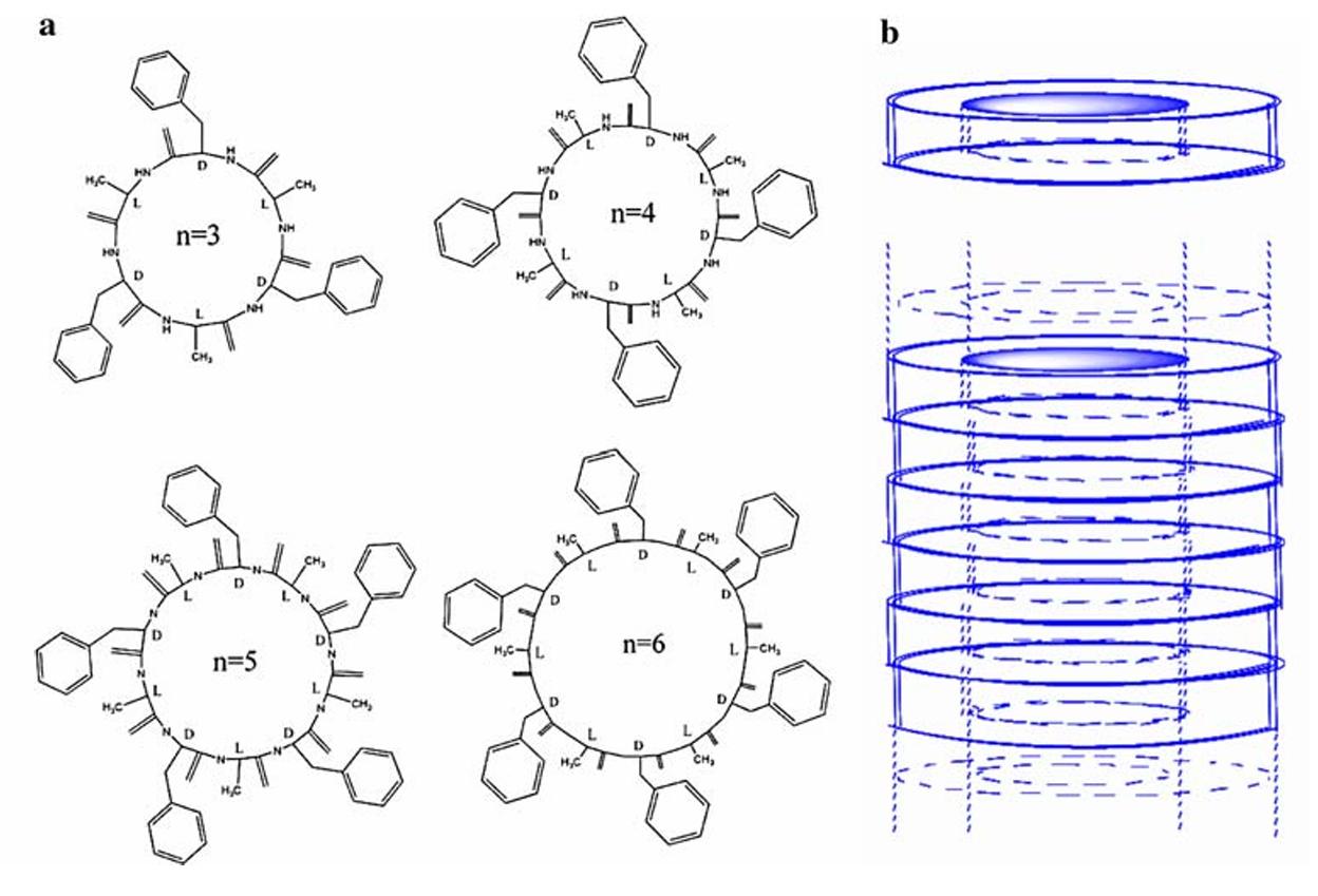 Self-assembled nanotube from cyclic peptides.