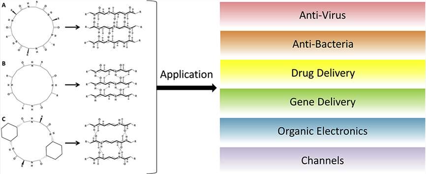 Applications of cyclic peptide nanotubes.