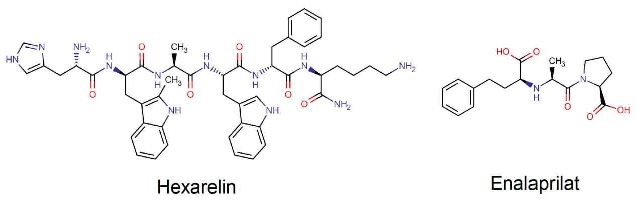 The Structures of Hexarelin and Enalaprilat.