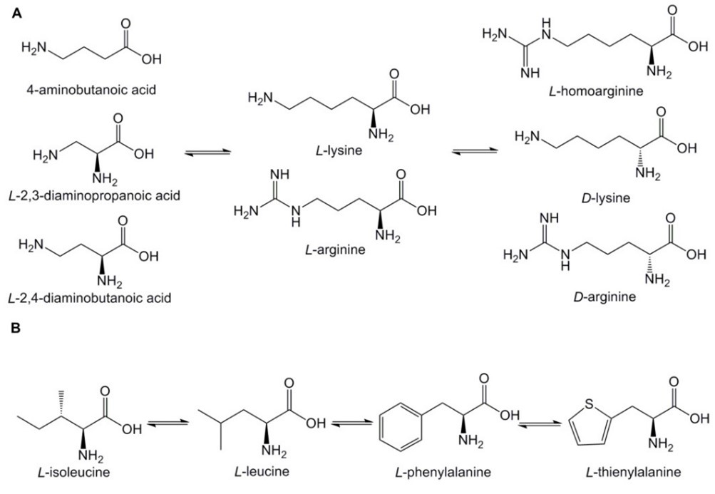 Fig.1 The interconversion of different L-amino acids.