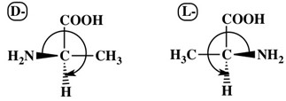 Fig.2 D- and L-Alaine configurations.