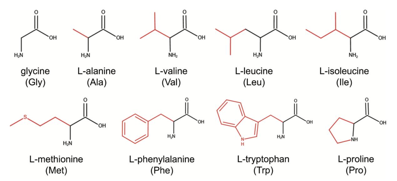 Nonpolar amino acids molecular structures in levorotatory form.