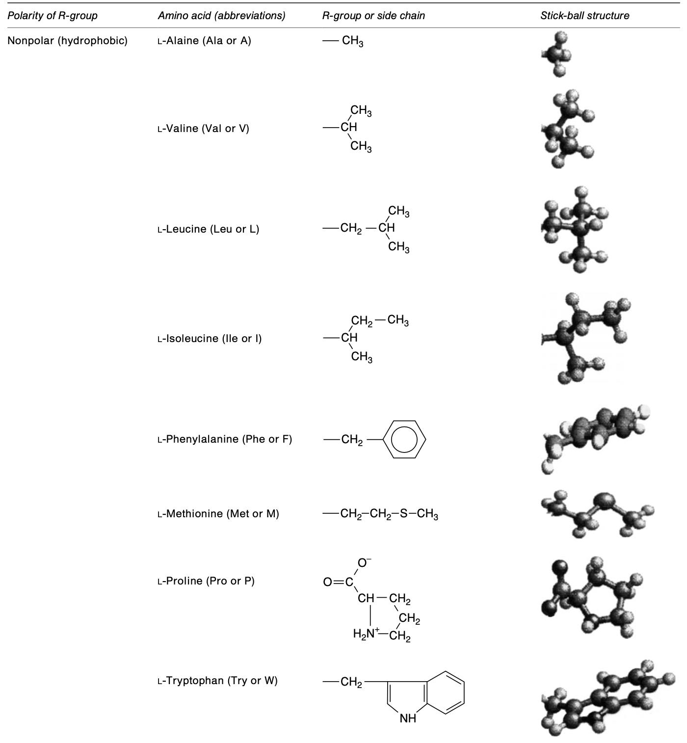 Structure of nonpolar amino acids.